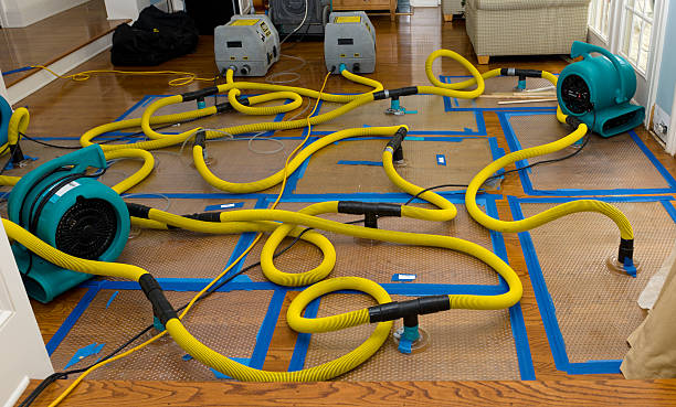 Professional Structural Drying And Dehumidification technician working in Montgomery, WV
