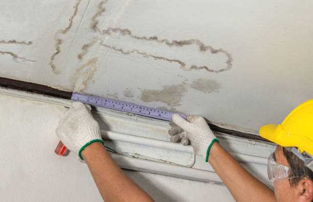 Affordable Water Damage Repair solutions in Montgomery, WV